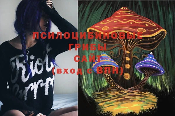прущая мука Магас
