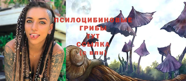 прущая мука Магас
